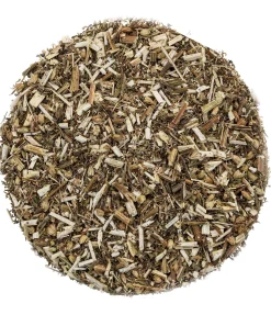 Achillée millefeuille