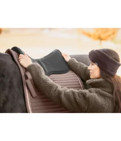 Amortisseur à mémoire de forme