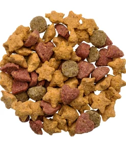 Assortiment de mini-friandises