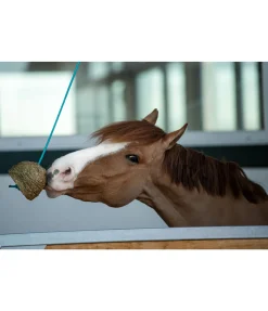 Balle de jeu carotte