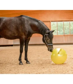 Balle de jeu pour cheval