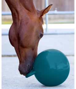 Balle de jeu pour cheval