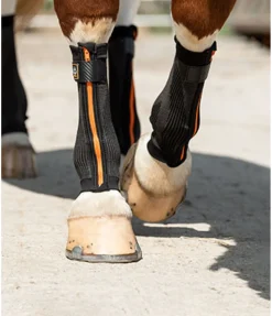 Bandes de compression Ceramic Rehab, pour antérieurs