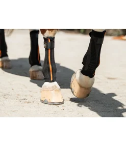 Bandes de compression Ceramic Rehab, pour antérieurs