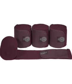 Bandes en polaire Astro