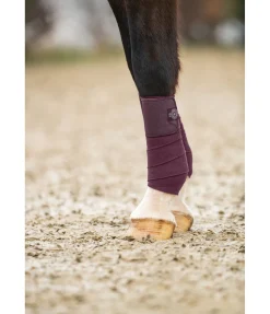 Bandes en polaire Astro