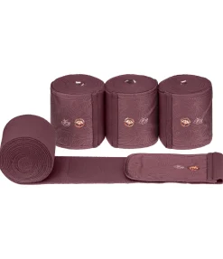 Bandes en polaire Hope