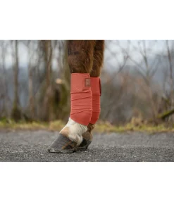 Bandes en polaire Sparkling II