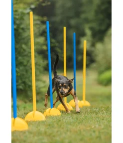 Barres d'agility