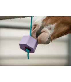 Bonbon à lécher Lolly Rêve d'hiver