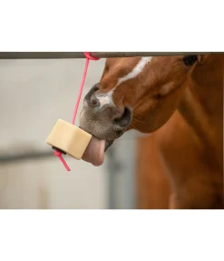 Bonbon à lécher Vanille Kipferl