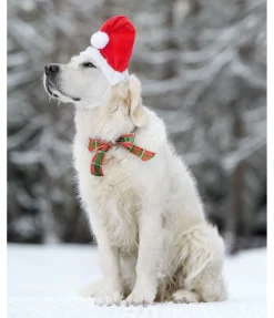 Bonnet de Noël pour chien Santa