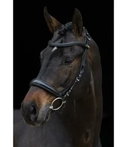 Bridon Anatomical Vision Space