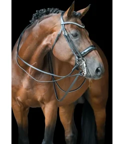 Bridon Dressage II