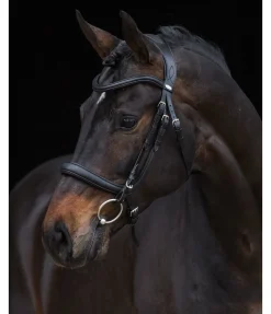 Bridon Gently Anatomical Innovation