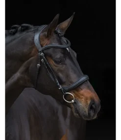 Bridon Gently Anatomical Innovation