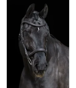 Bridon Gently Anatomical Innovation