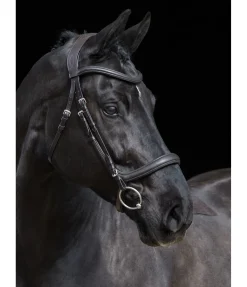 Bridon Gently Anatomical Innovation