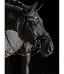 Bridon avec boucle de noseband amovible Mirissa