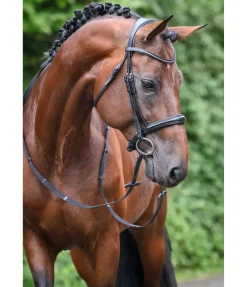Bridon avec boucle de noseband amovible Mirissa
