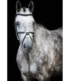 Bridon avec muserolle croisée Diabolo