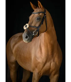 Bridon avec muserolle croisée Stitch