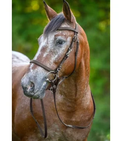 Bridon de randonnée Nevada