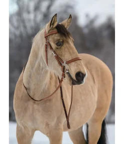 Bridon de randonnée Nevada