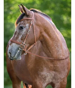 Bridon de randonnée Nevada