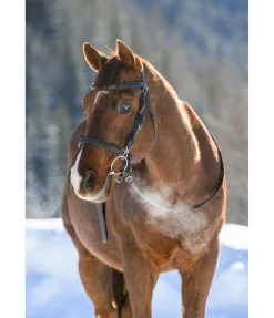 Bridon de randonnée Nevada