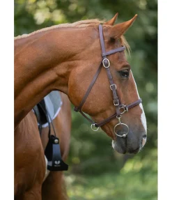 Bridon de randonnée imperméable Eifel