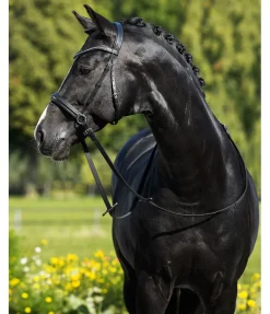 Bridon sans embouchure Gentle Connection