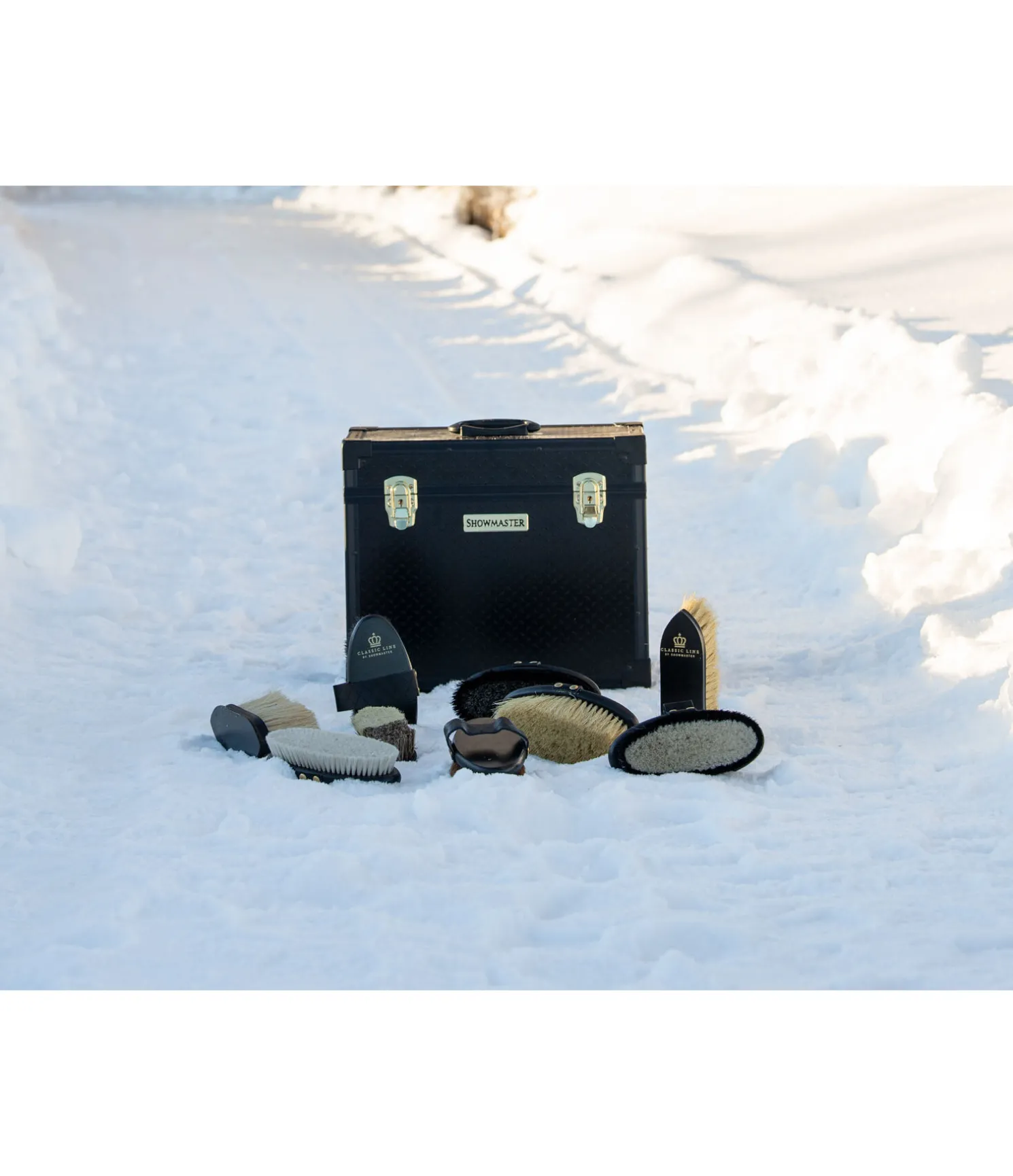 Brosse anti-poussière