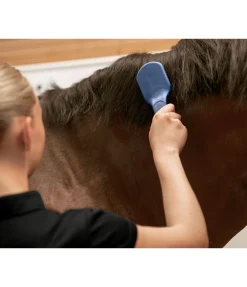 Brosse pour crins Soft