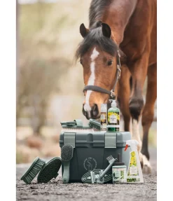 Brosse pour crins Soft