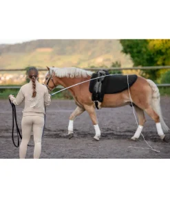 Chambrière télescopique Extended