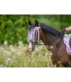 Chasse-mouches à prix économique