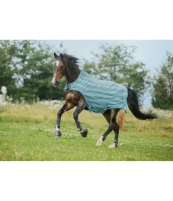 Chemise de marcheur anti-mouches Economy Light