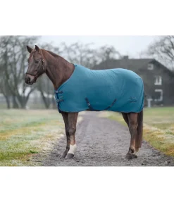 Chemise polaire Activity