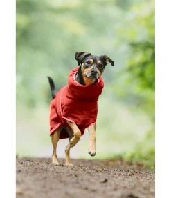 Chemise séchante pour chien Dry Dog II