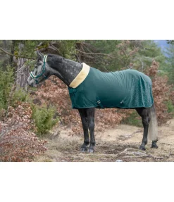 Chemise séchante technique Sparkling II