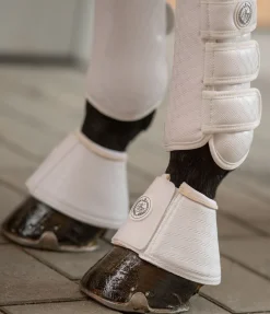 Cloches Dressage-Derby