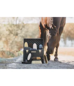 Coffre de pansage Alu Case Classic Line