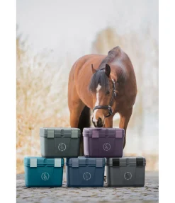 Coffre de pansage Lissabon