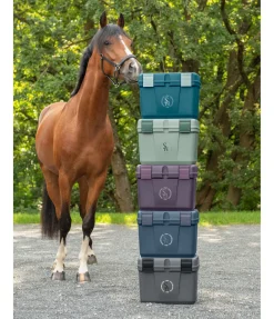 Coffre de pansage Lissabon