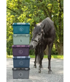 Coffre de pansage Madrid