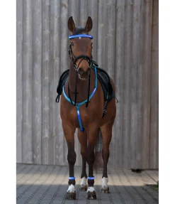 Collier de chasse LED Loom