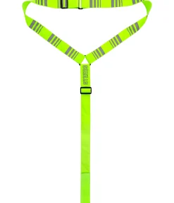 Collier de chasse réfléchissant Stripes