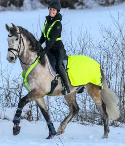 Collier de chasse réfléchissant Stripes