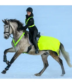 Collier de chasse réfléchissant Stripes